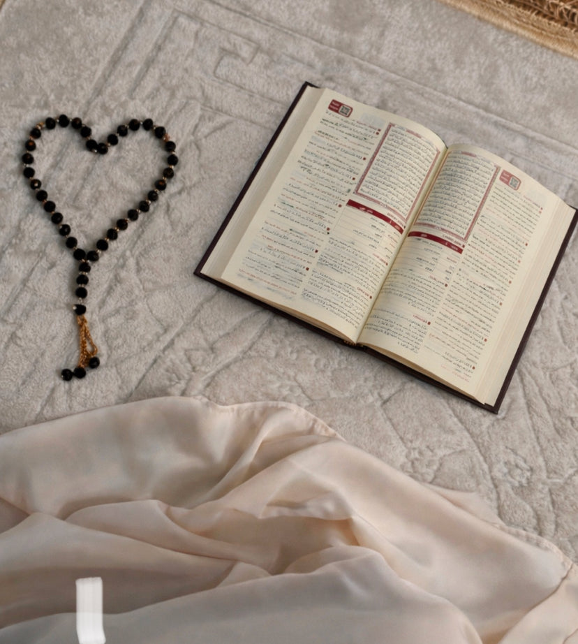 مصحف التدبر-اقرا القران بعمق كما لم تقراه من قبل